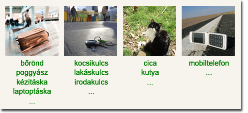 Dögcédulával nagyobb az esély, hogy megtaláld